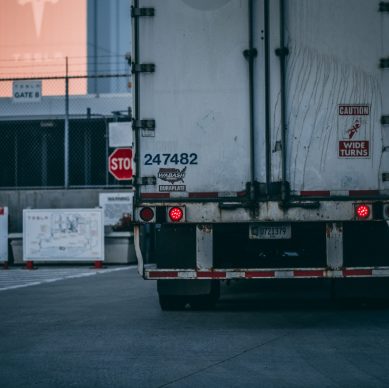 pexels-craig-adderley-2449454